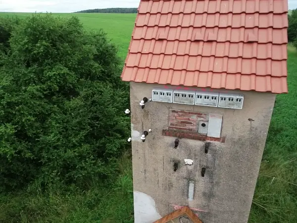 Schersengut SDH 4